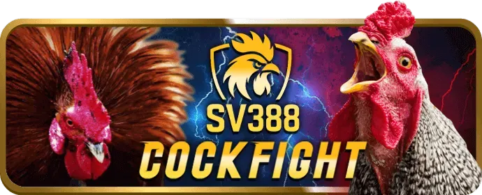 Biểu tượng khóa an toàn và lá chắn minh họa hệ thống bảo mật của Win55